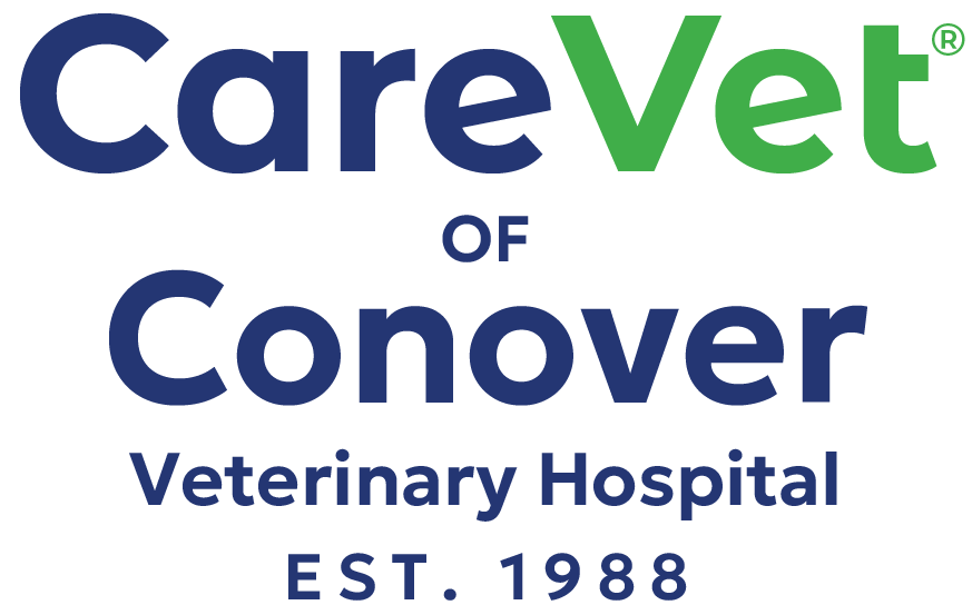 CareVet of Conover Veterinary Hospital Logo